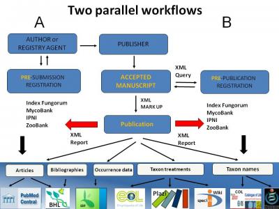2 Workflows