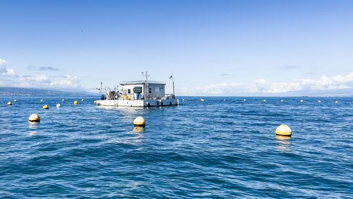 Why Does Lake Geneva Emit Large Quantities of CO2? UNIL Scientists Provide the Answer and Solve a Scientific Enigma