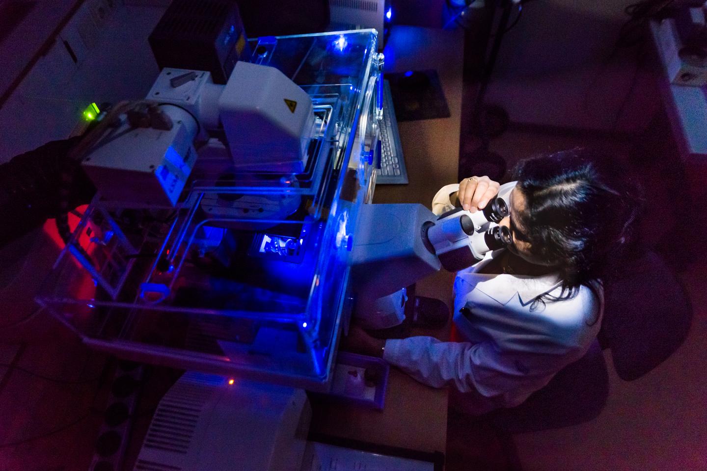 Researchers at Linköping University Study How Alzheimer's Disease Spreads in the Brain