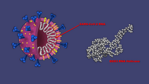 COVID cancer drug