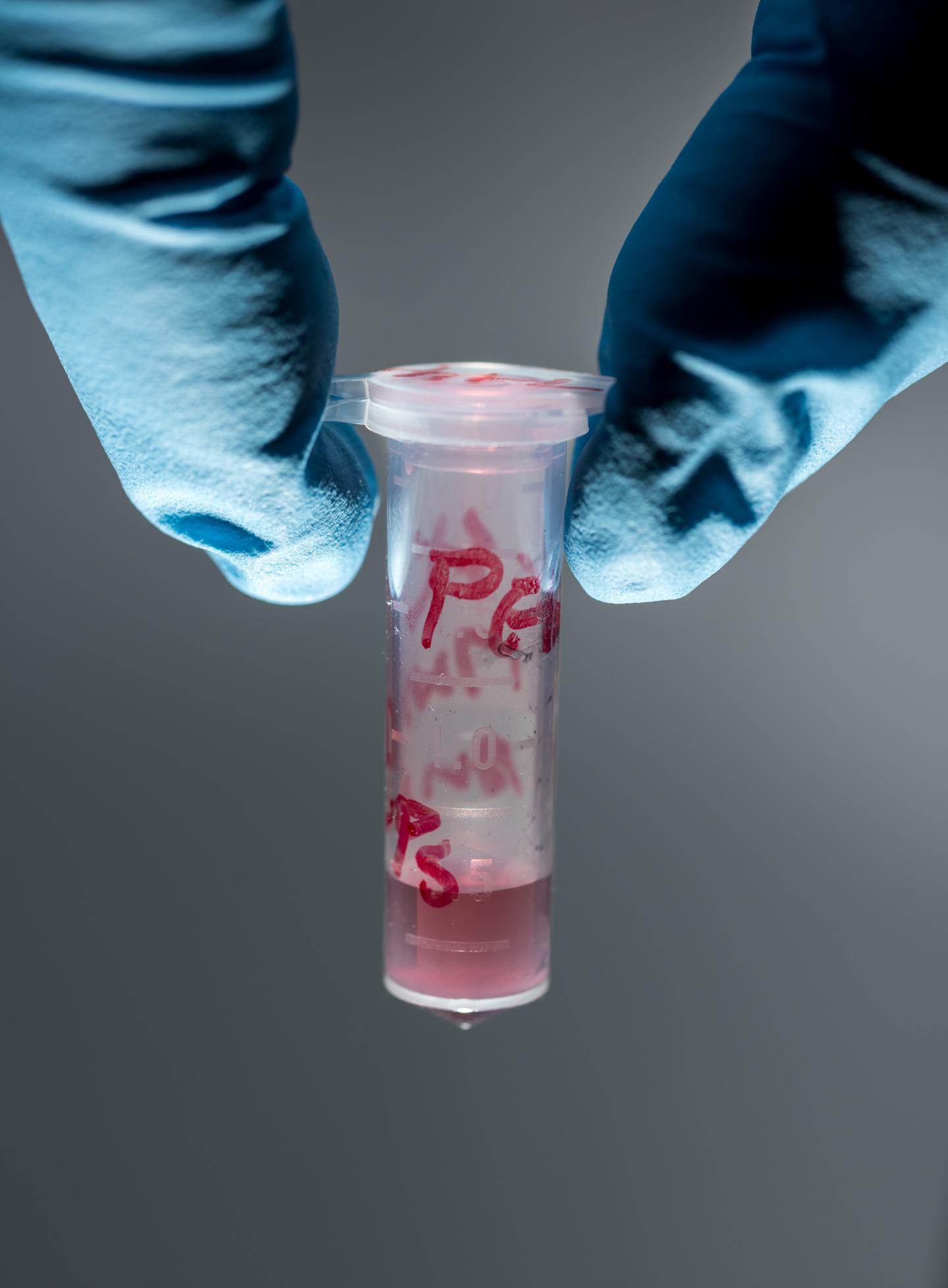 Gold Nanorods at Georgia Tech