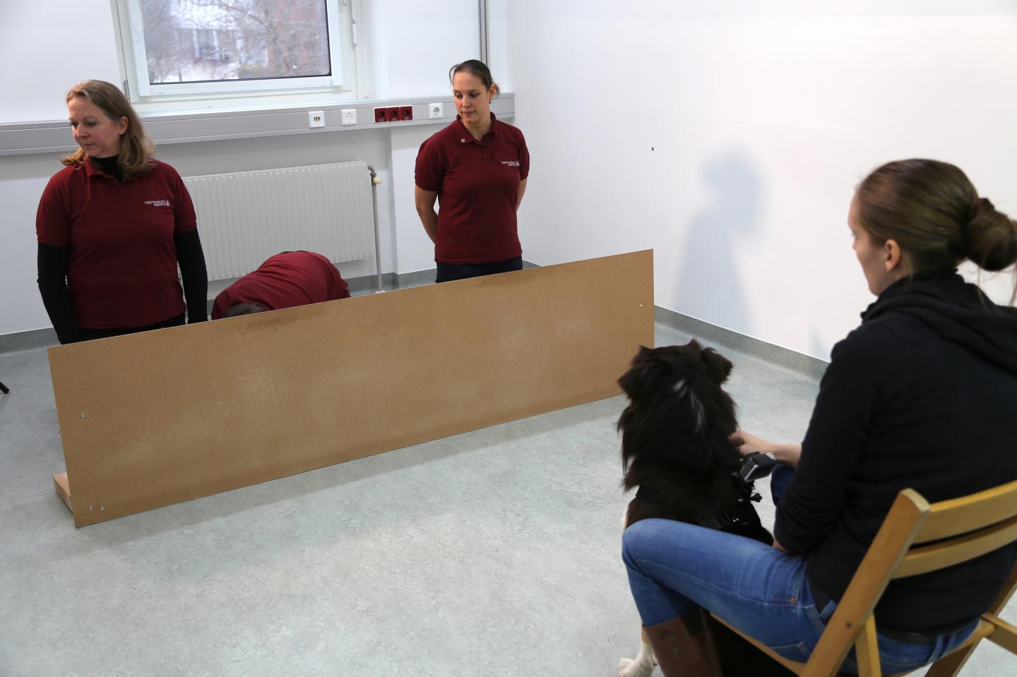 Dog Watching Human Informants