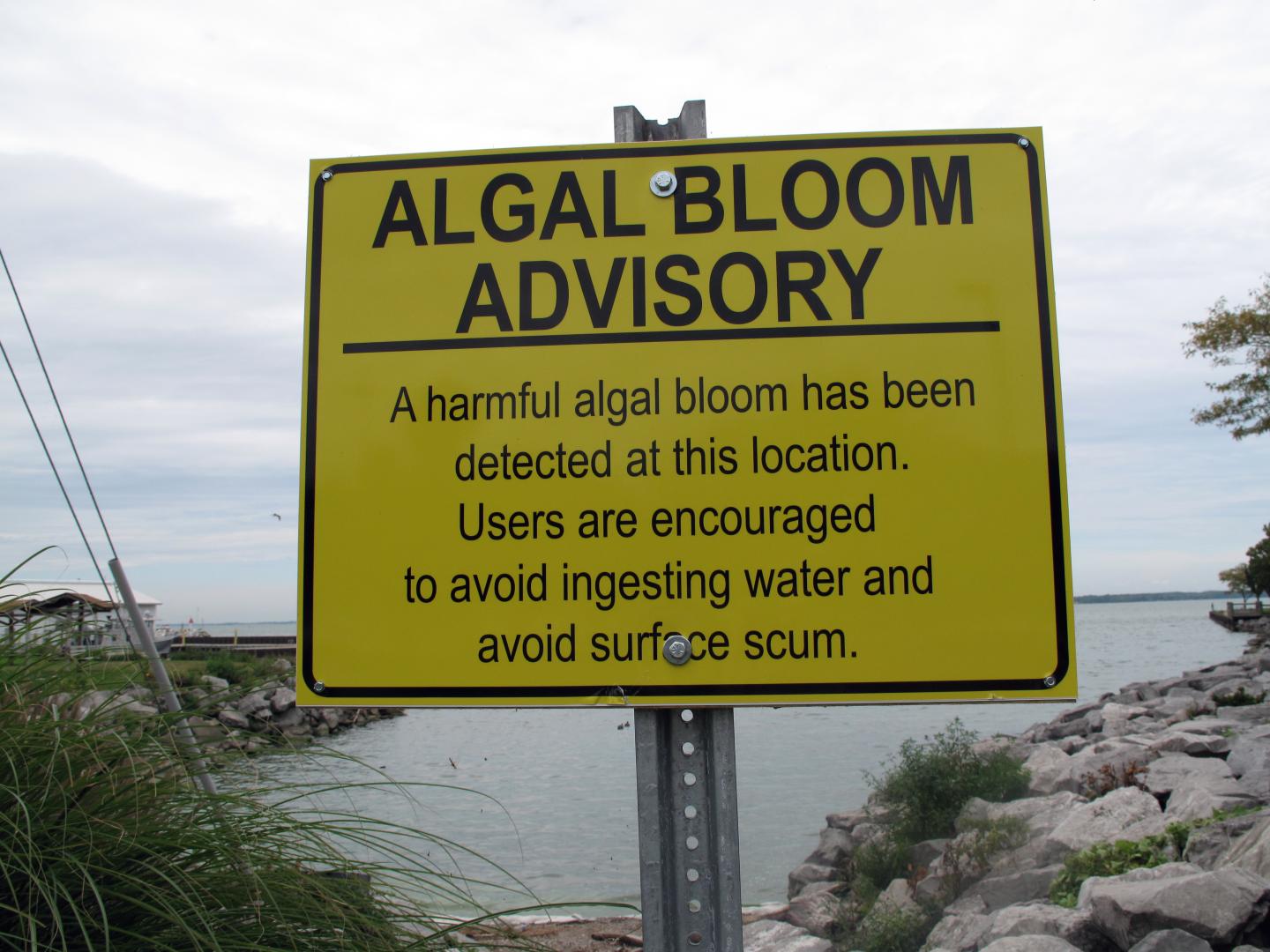 Algal Bloom Advisory