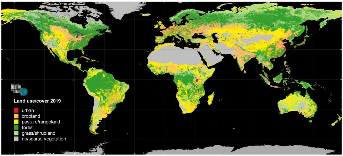 HILDA+ land-use map for 2019