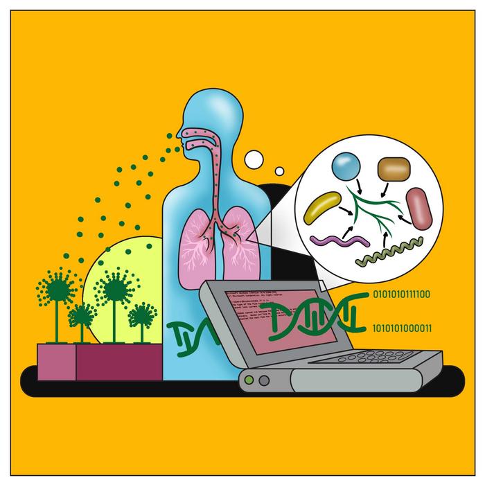 Aspergillus fumigatus and the lung microbiome