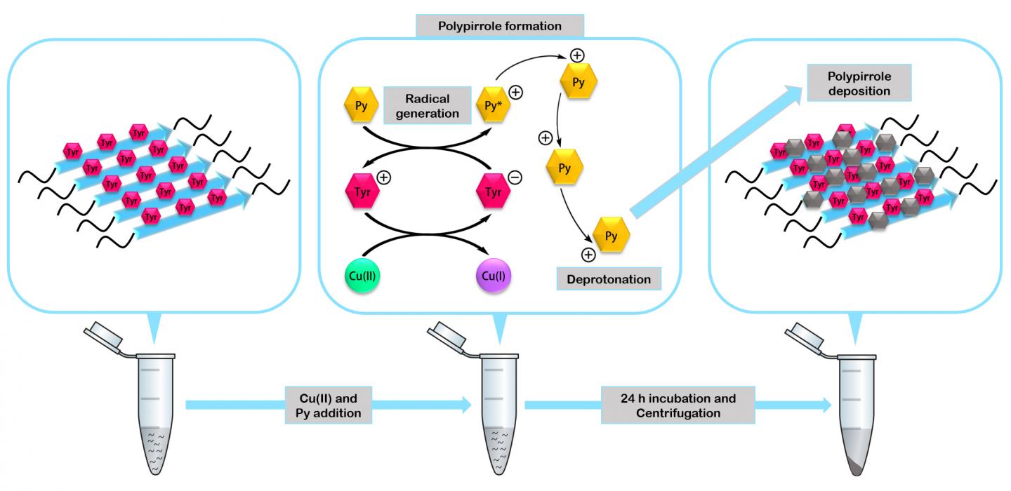 Minimalist Biostructures Designed to Create Nanomaterials (2 of 2)