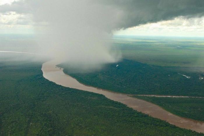 Brazilian algorithm aims to project future of Amazon Rainforest