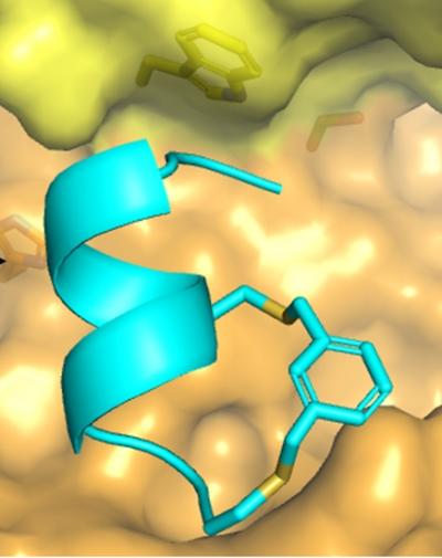 New Class of Malaria Drugs Using Essential Calcium Enzyme