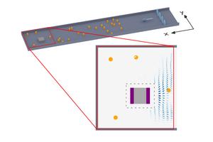 Schematic illustration of the experimental setup that was used to measure the flow of information.