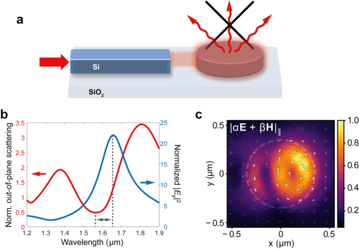 Decoupling of anapole condition and near-field energy maximum in on-chip excitation of high-index nanodisks