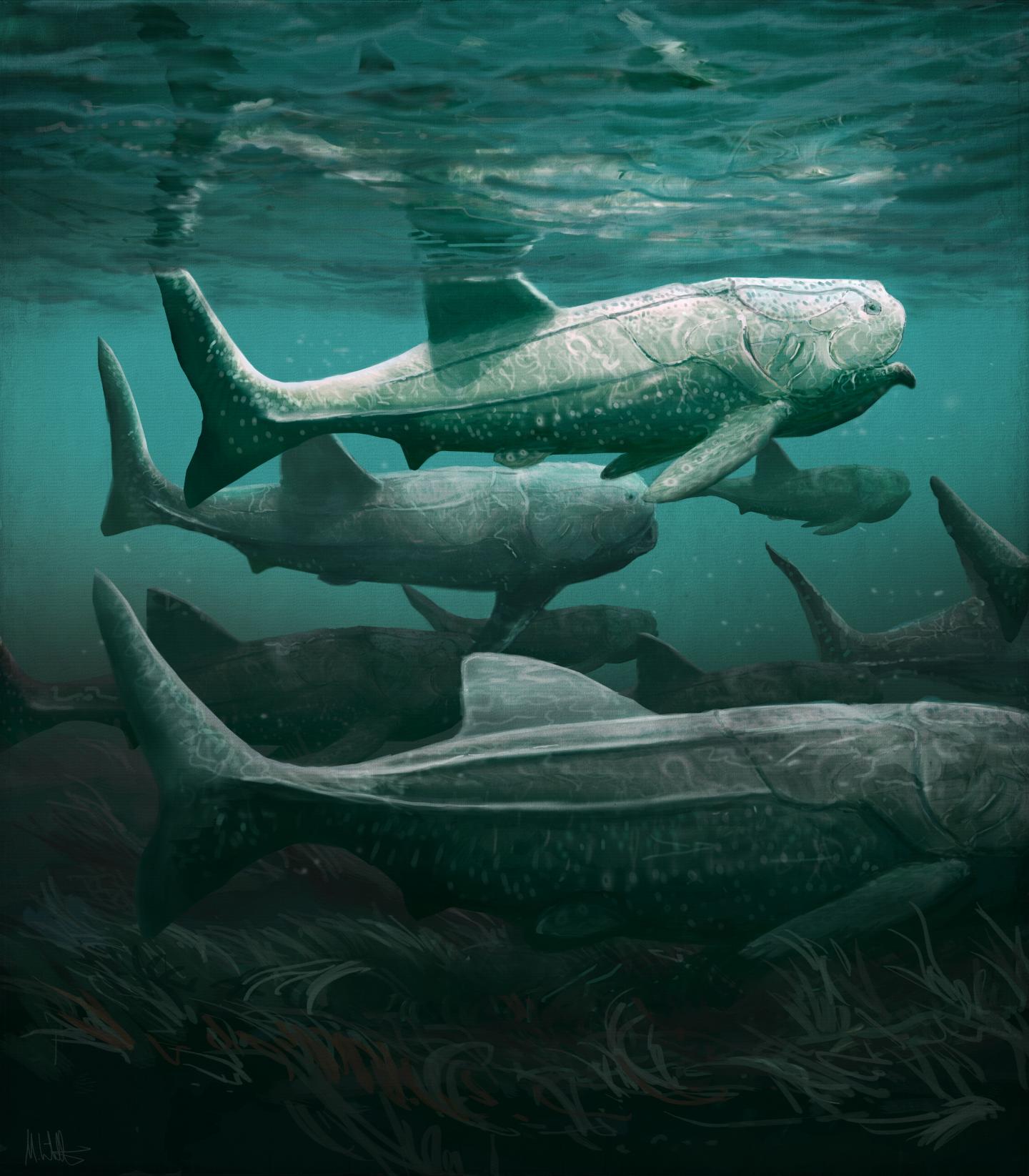 Artist Impression of Titanichthys