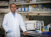 Ganesh Halade, Ph.D., University of South Florida (USF Health)