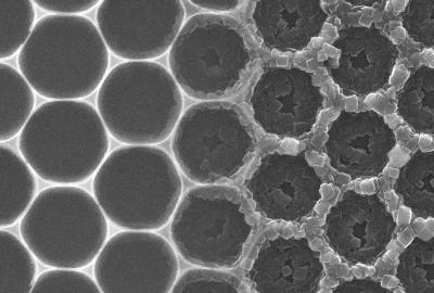 Reverse Fossilization