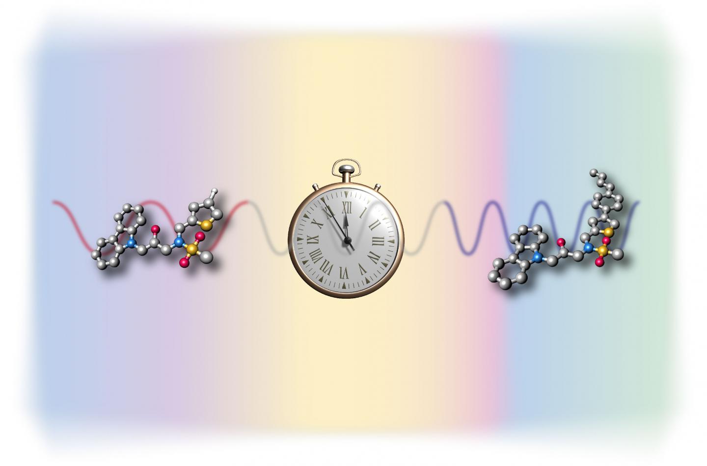 Changes in Clock Rhythm by Molecules