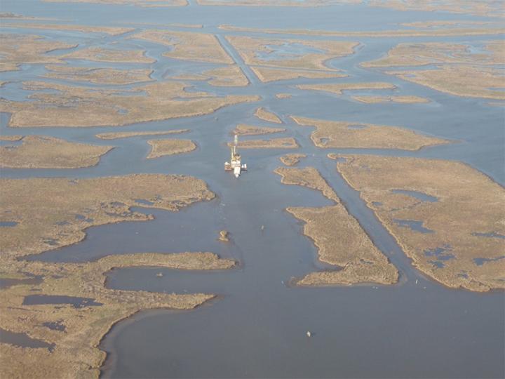 Mississippi Delta Marshes in a State of Irreversible Collapse, Tulane Study Shows