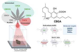 Cannabinoids research for childhood epilepsy