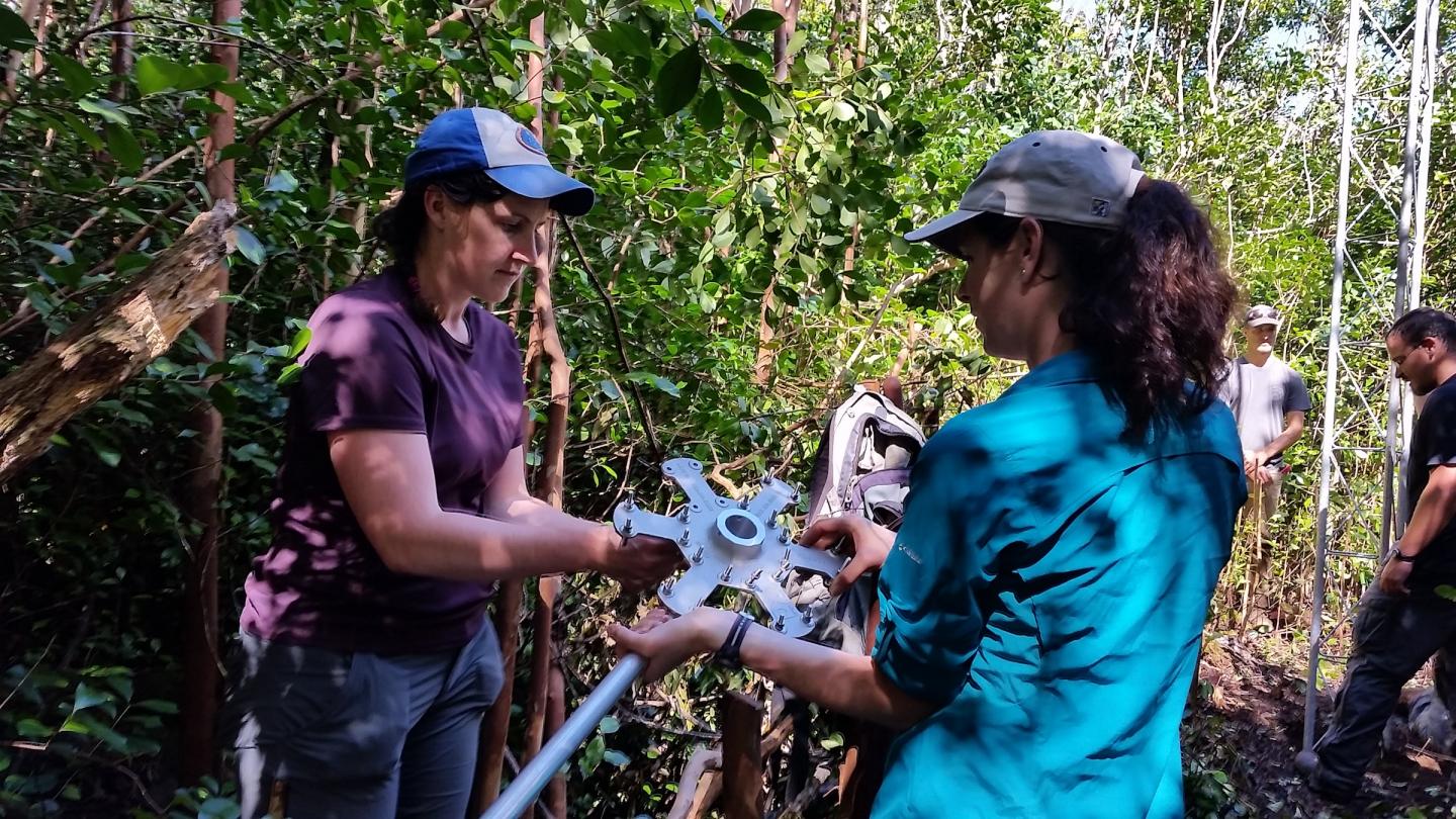 Tracking Oahu birds