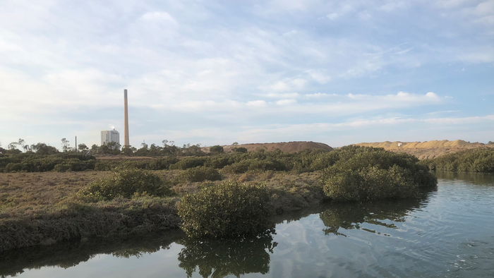 Nyrstar Smelter and Mangroves