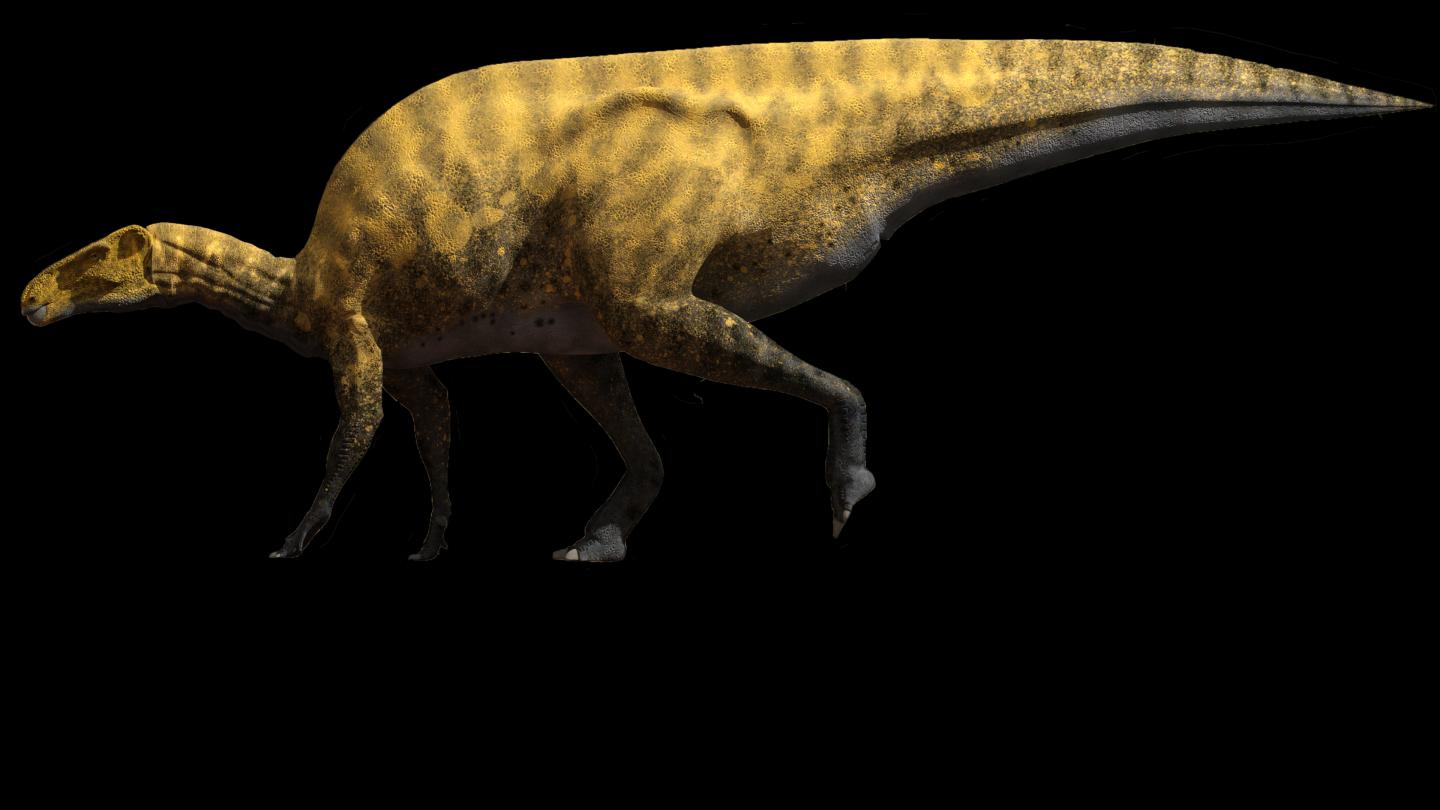 New iguanodon-like dinosaur identified from jawbone fossil from Spain