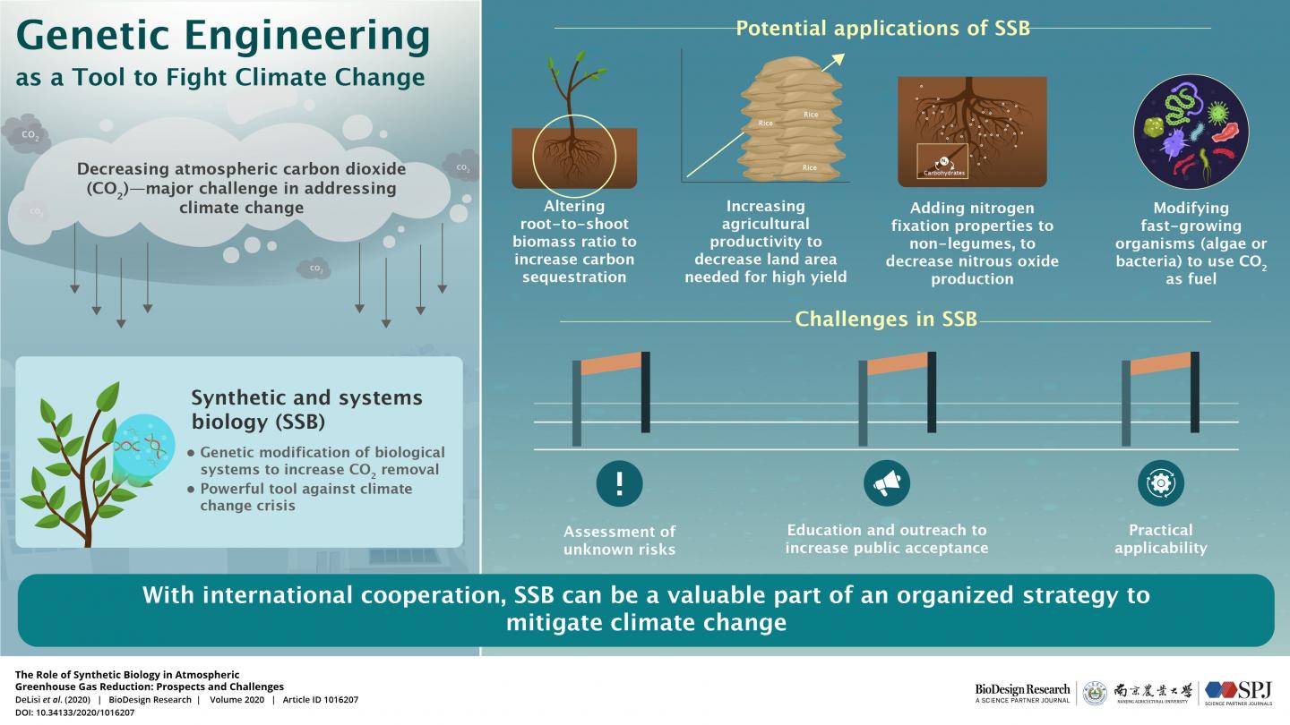 Genetic Engineering as a Tool to Fight Climate Change