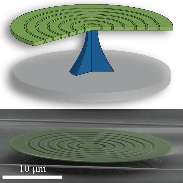 Silicon Bullseye Microdisk
