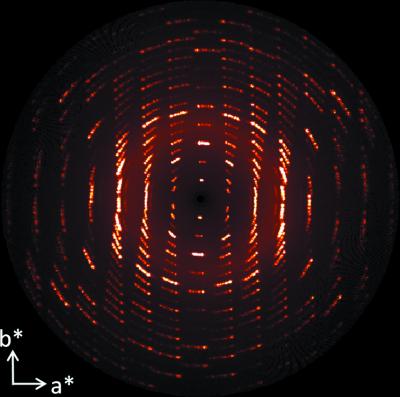 Reciprocal Space Reconstruction of hk0 Section