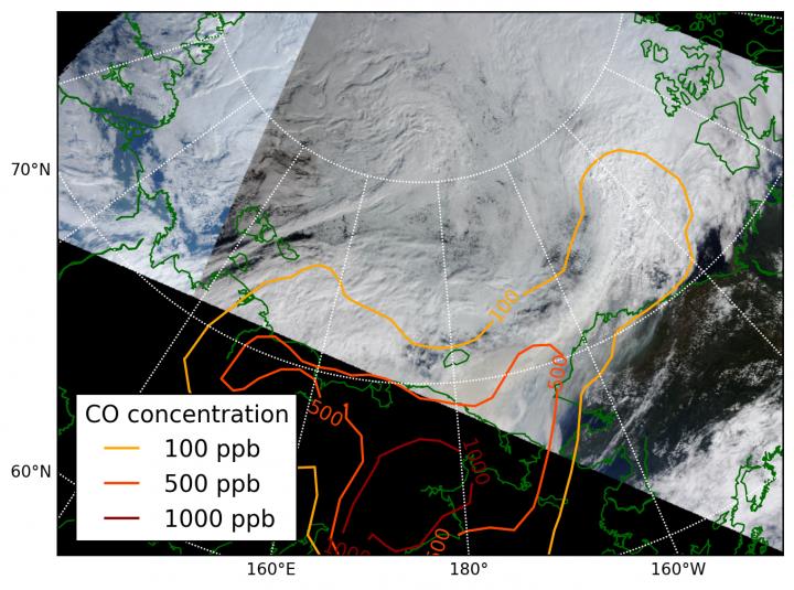 Arctic Cloud Sensitivity