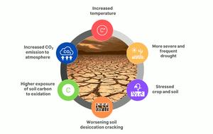 Soil carbon release amplification