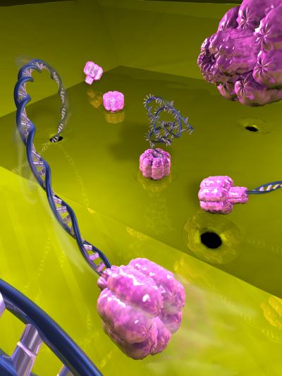 Artistic Rendering of the Formation of Hybrid Pores