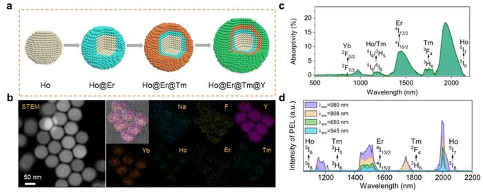 Fig 2. Structural characterization of CSSS and its absorption and excitation spectra.