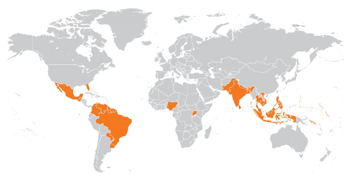 Countries where Zika and Dengue Co-circulate
