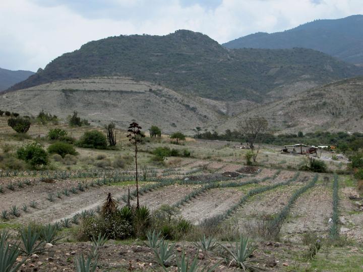Archaelogical site of El Palmillo in present-day Oaxaca, Mexico