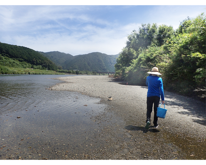 Searching for river shrimp