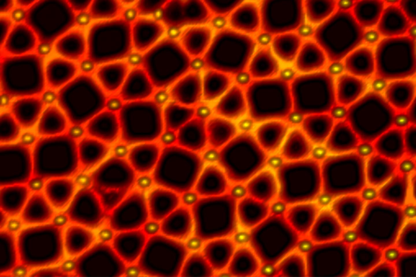 2-D Quasicrystalline Network