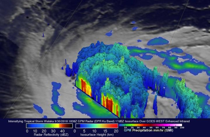 GPM image of Walaka