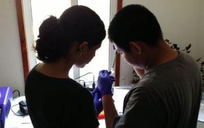 Students in a Lab