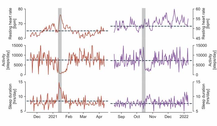 Time series from Wiedermann et al.