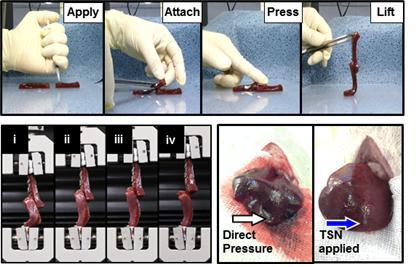 Tests to Evaluate the TSNs' Adhesive Properties in Liver Tissues