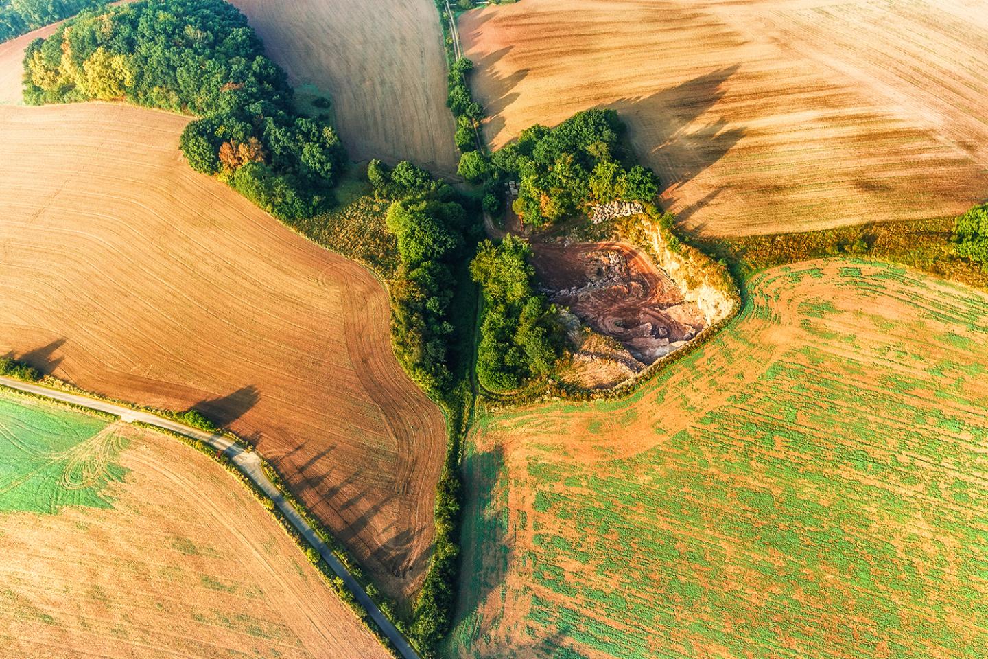 Hedges as Ecological Focus Area in Germany