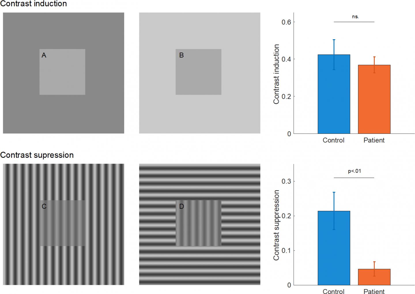 Visual tests to compare brightness and contrast of simple patterns