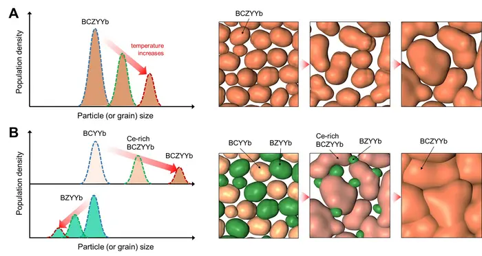 Comparison of Sintering Behavior of Single-Phase (A) and Dual-Phase (B) Proton Ceramic Electrolytes