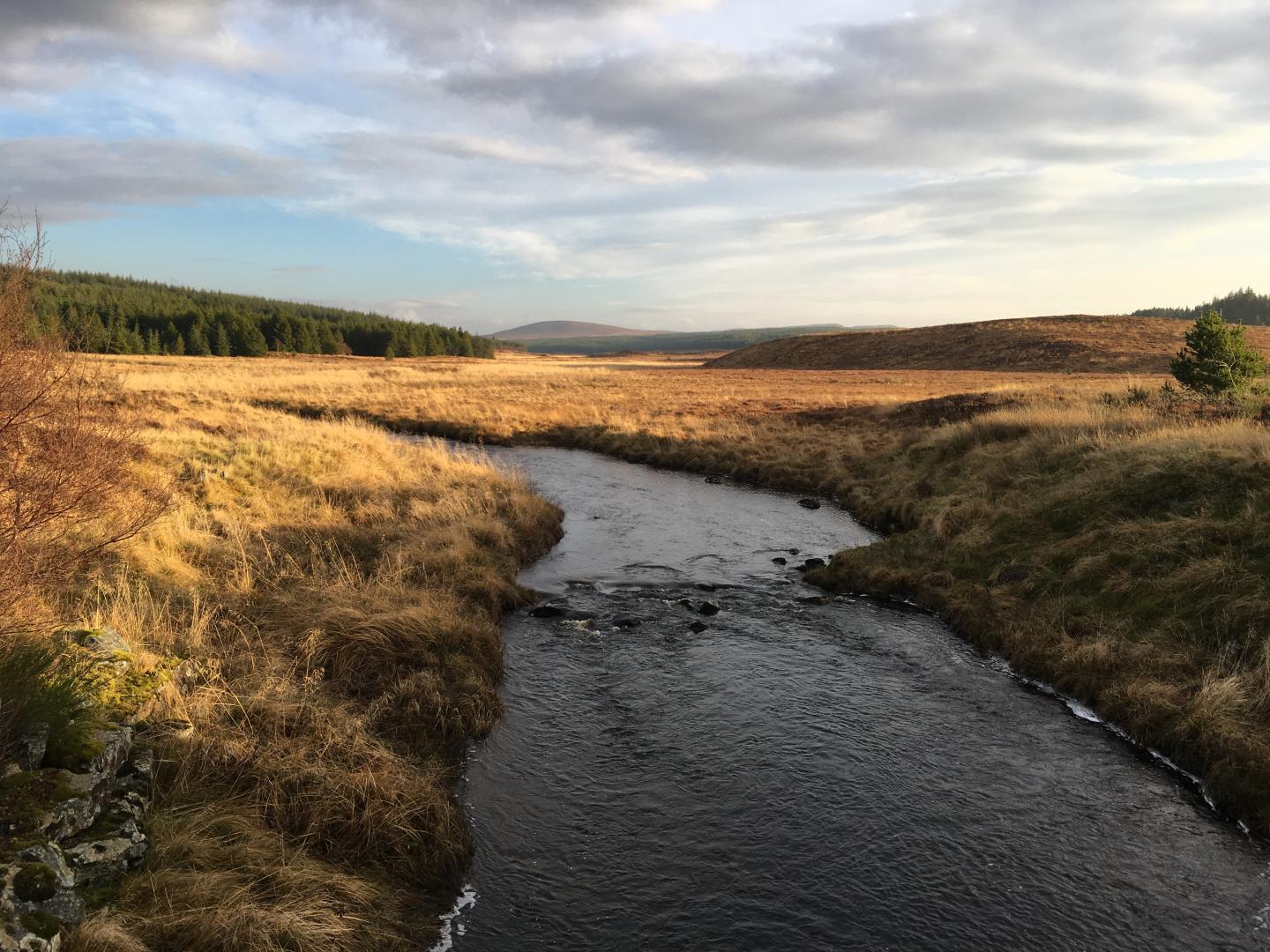 River Draining a Peatland in Scotland
