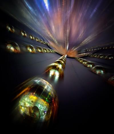 Photomultipliers in Antineutrino Detector