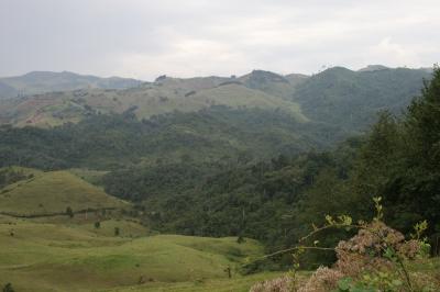 Gishwati:  Rwanda's Forest of Hope