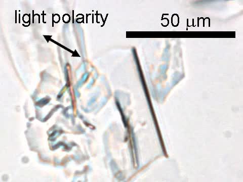 A crystal of azobenzene showing the flipping motion