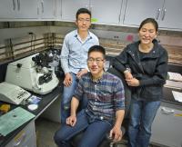 Peter Bai, Joseph Kao and Ting Xu, Lawrence Berkeley National Laboratory