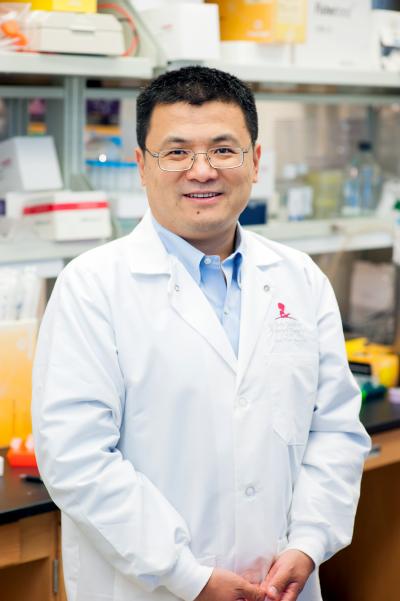 Hongbo Chi, St. Jude Children's Research Hospital