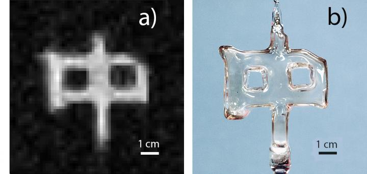 Polarized Nuclear Imaging