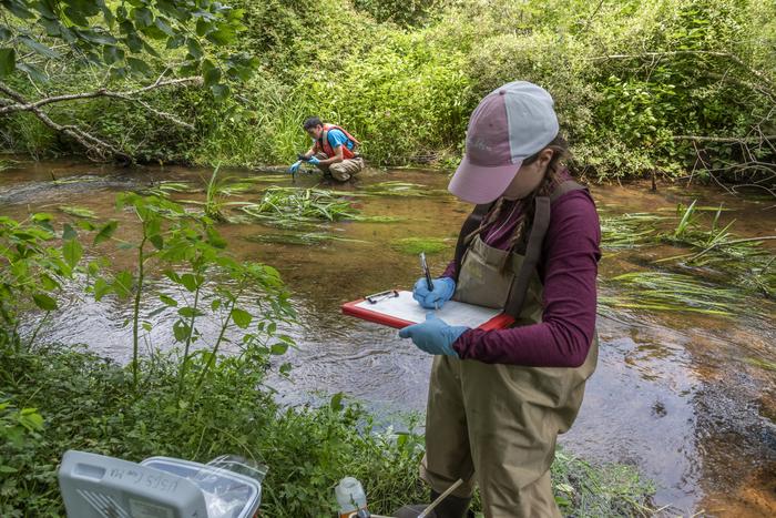 Heidi Pickard conducts fieldwork in the Santuit River on Cape Cod