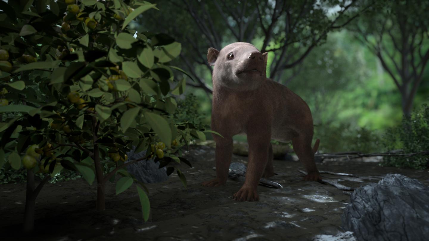 New Colorado Fossil Record Documents Life's R EurekAlert!